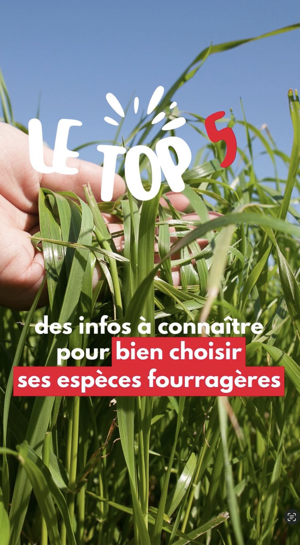 Top 5 des infos à connaître pour choisir ses espèces fourragères